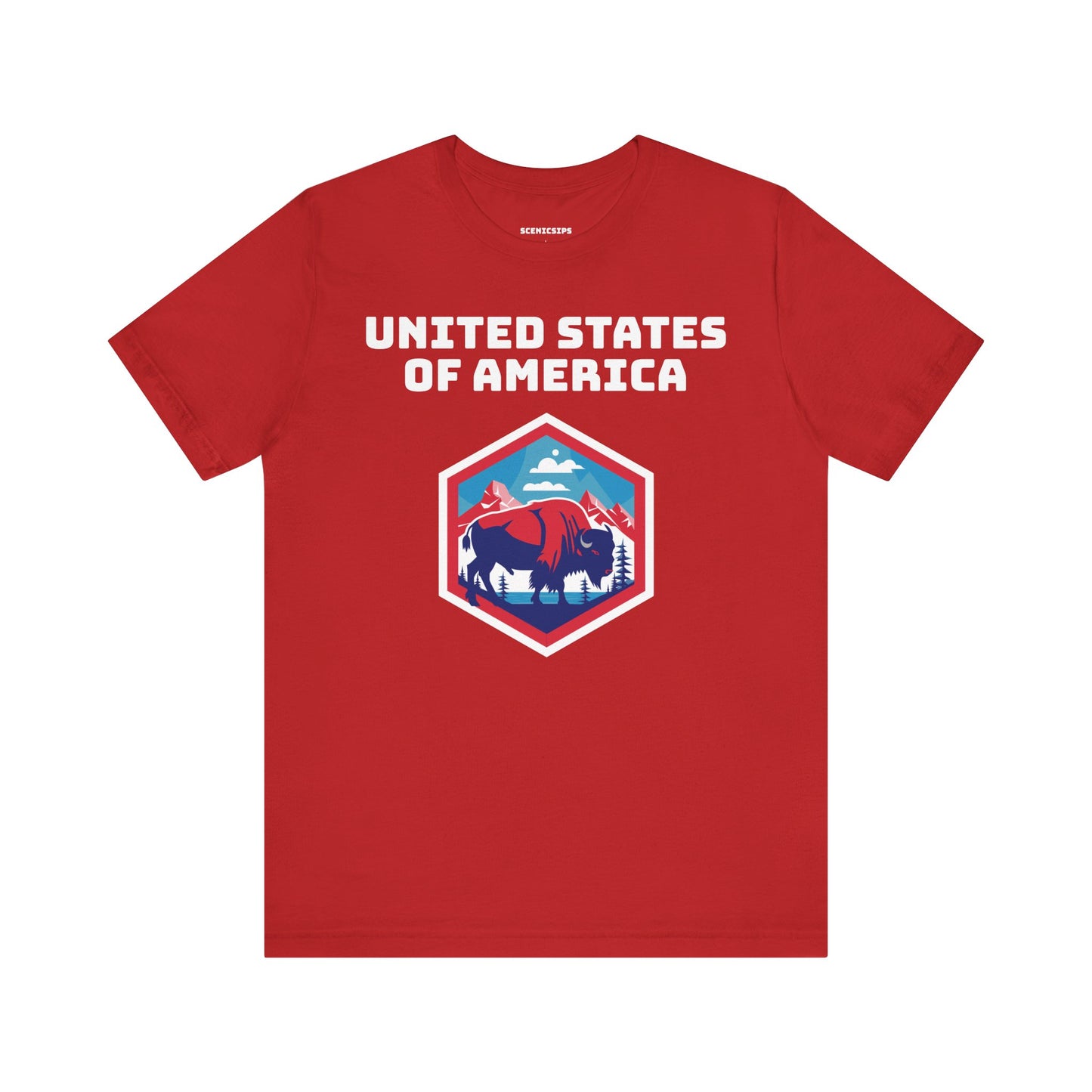 United States of America T-Shirt (Unisex)