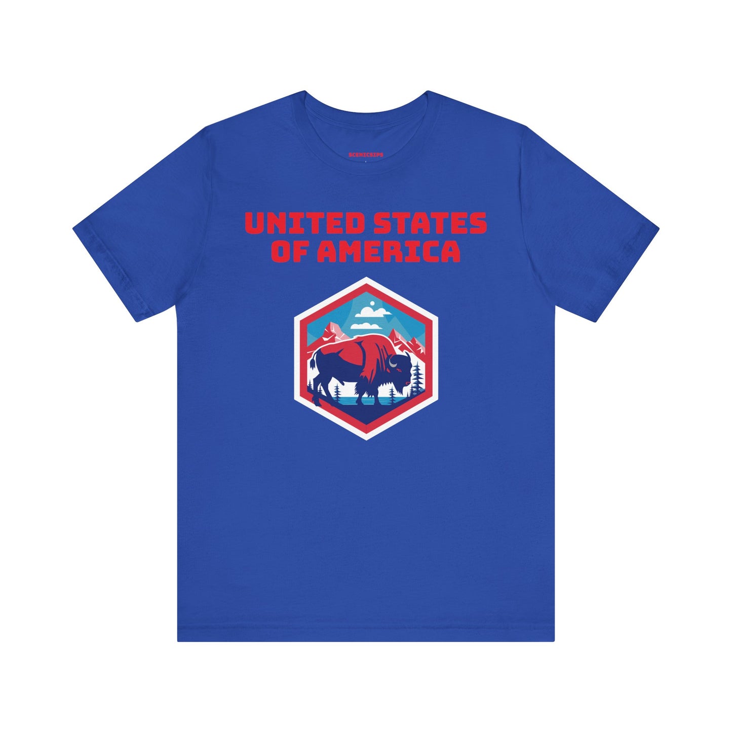 United States of America T-Shirt (Unisex)