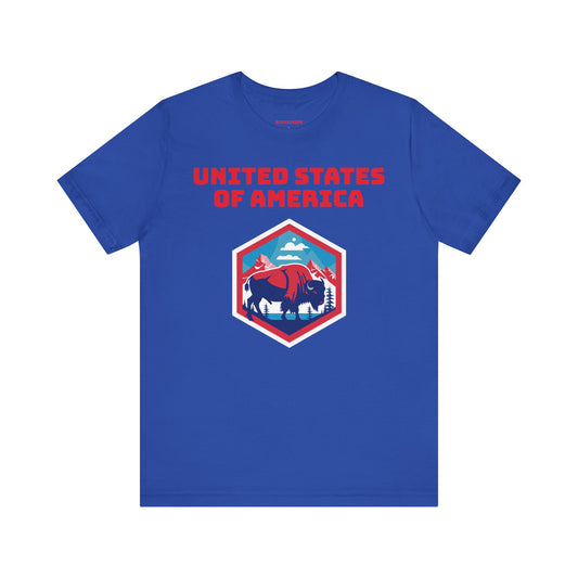 United States of America T-Shirt (Unisex)