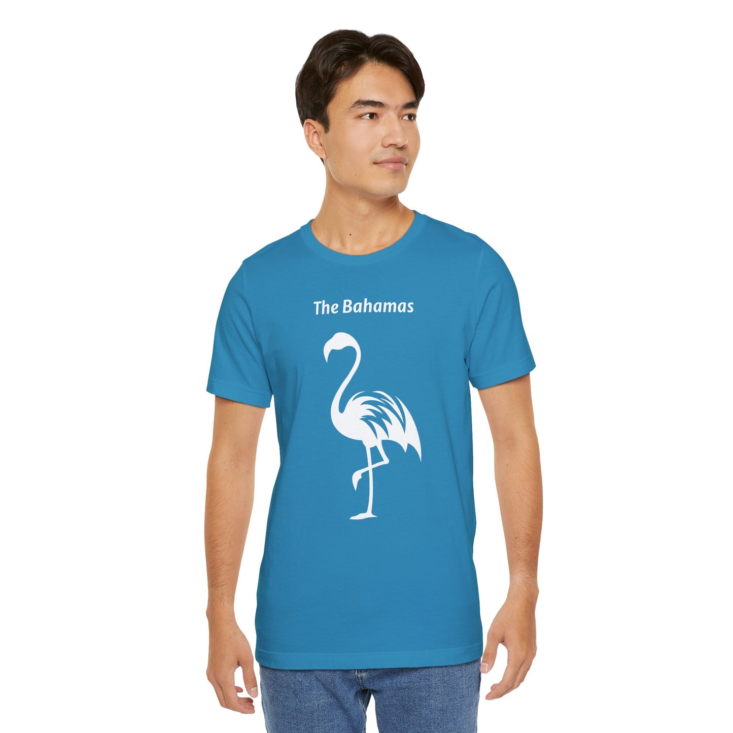 The Bahamas Flamingo T-Shirt (Unisex)